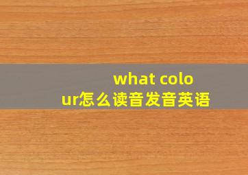 what colour怎么读音发音英语